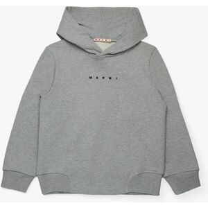 MARNI Kids Logo Hoodie in Grey - Size: 12 yrs MARNI Kids Logo Hoodie in Grey - Size: 12 yrs