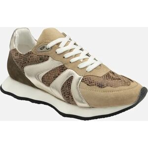 Ravel Women's Innes Womens Trainers - Tan - Size: 8 Ravel Women's Innes Womens Trainers - Tan - Size: 8