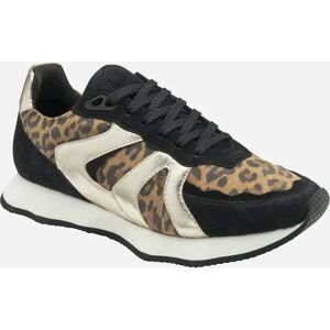 Ravel Women's Innes Womens Trainers - Brown - Size: 5 Ravel Women's Innes Womens Trainers - Brown - Size: 5