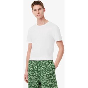 Men's Lacoste Mens 3-Pack Plain Mens T-Shirts - White 001 - Size: 40