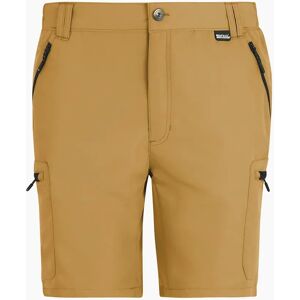 Men's Regatta Mens Leesville III Shorts - Brown - Size: 36/32 Men's Regatta Mens Leesville III Shorts - Brown - Size: 36/32