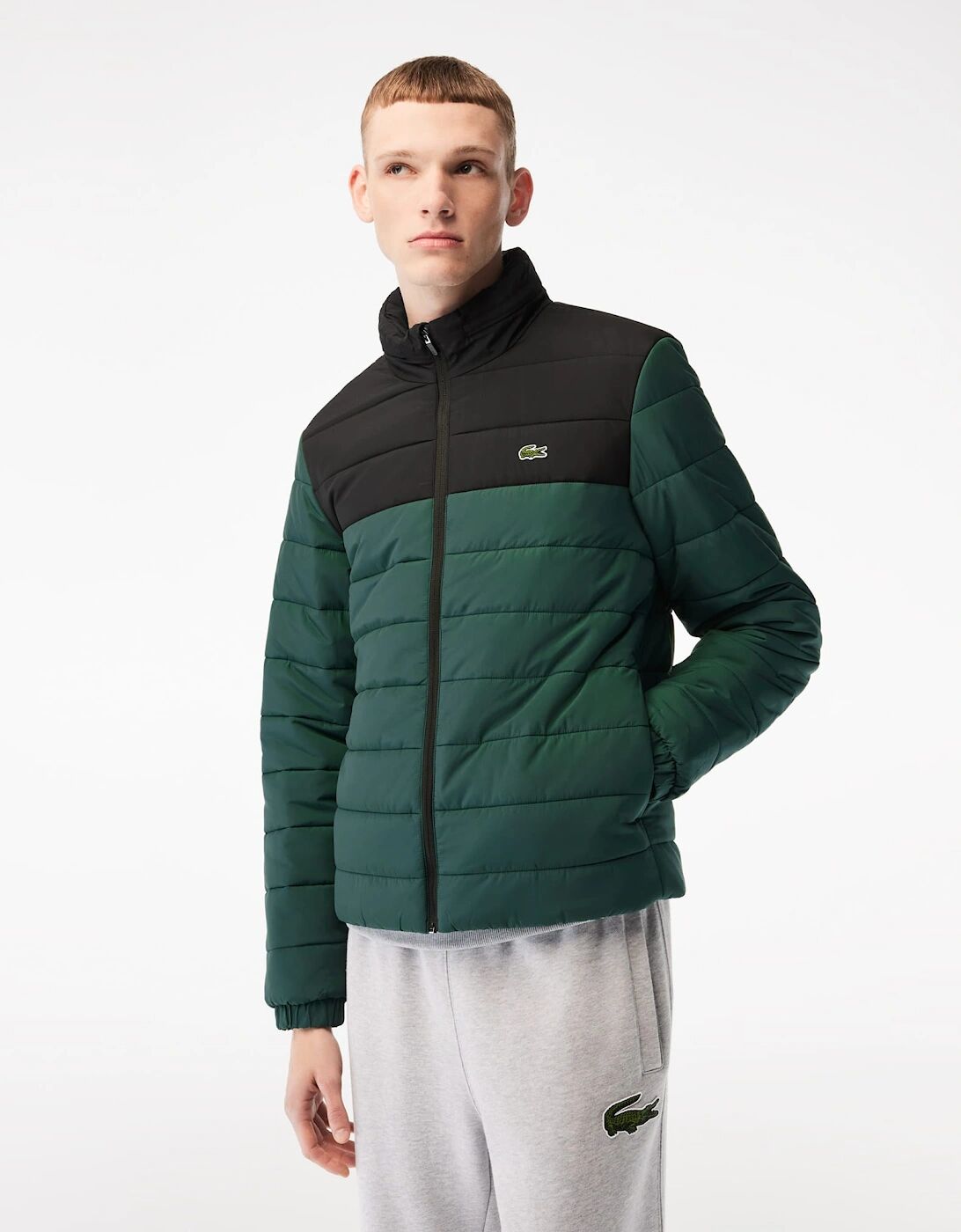 Lacoste Men's Mens Hooded Puffer Jacket - Black/Multi - Size: 40/38/Regular