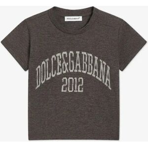 Dolce & Gabbana Boy's Baby Boys Embroidered Logo T-Shirt in Grey - Size: 18 - 24 mths