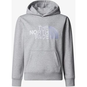 Girl's The North Face Kids Drew Peak Hoodie in Grey - Size: XL 14 - 16 yrs