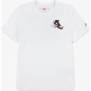 Nike Jordan Boys Air Jordan Has Landed T-Shirt in White - Size: 3 years/4 years
