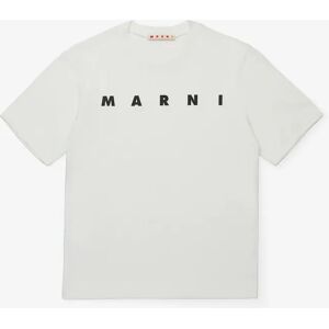 Boy's MARNI Kids Logo T-Shirt in White - Size: 8 years Boy's MARNI Kids Logo T-Shirt in White - Size: 8 years