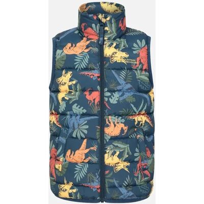 Mountain Warehouse Childrens/Kids Rocko Dinosaur Padded Gilet - Green - Size: 5 years/6 years Mountain Warehouse Childrens/Kids Rocko Dinosaur Padded Gilet - Green - Size: 5 years/6 years