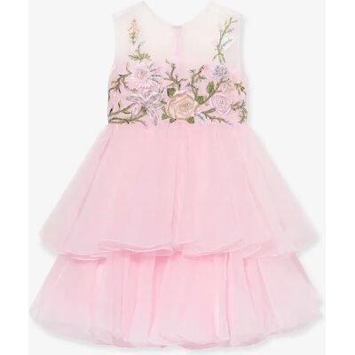 Girl's Maison Ava Girls Nicoletta Embroidered Flower Occasion Dress in Pink - Size: 16 years Girl's Maison Ava Girls Nicoletta Embroidered Flower Occasion Dress in Pink - Size: 16 years