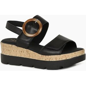 Lotus Women's Cammie Womens Sandals - Black - Size: 3 Lotus Women's Cammie Womens Sandals - Black - Size: 3