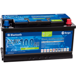 Berger 100 Ah LiFePo4 Lithium Battery