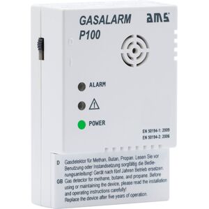 AMS Gas Alarm P100