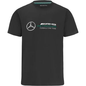 Puma 2022 Mercedes Large Logo Tee (Black) - Large Adults Male