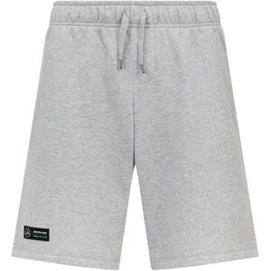 Puma 2023 Mercedes Mens Sweat Shorts (Grey) - Small Adults Male