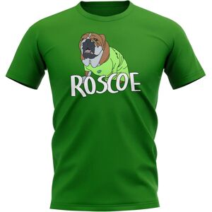 Race Crate Roscoe Team Celebrations T-Shirt (Green) - LB (9-11 Years) Male