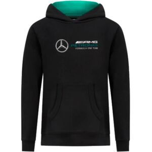 Puma 2023 Mercedes-AMG Petronas Logo Hoodie (Black) - Kids - XL Boys Unisex