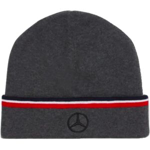 Puma 2023 Mercedes-AMG Petronas Team Beanie (Grey) - One Size Male