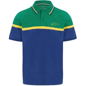 Ayrton Senna Collection Ayrton Senna Mens Fanwear Stripe Polo Shirt - Large Adults Male