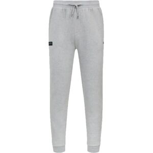 Puma 2023 Mercedes-AMG Petronas Sweat Pants (Grey) - Small Adults Male