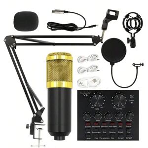 SHEIN Lmbgm Bm800 Condenser Microphone V8 Sound Card Computer Live Streaming Singing Recording Mic With Adjustable Arm Stand Kit BM800 Microphone + V8 Sound Card