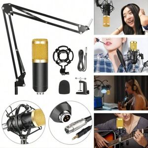 SHEIN Lmbgm Bm800 Condenser Microphone Computer Live Broadcast Karaoke Recording Microphone Cantilever Bracket Set Black Gold