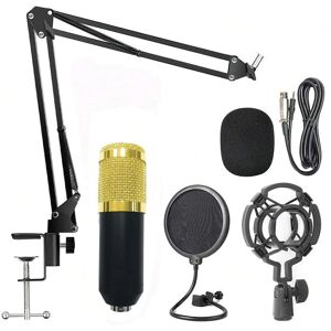 SHEIN Live Broadcast Radio Condenser Microphone And Stand Set Multicolor