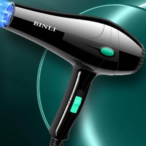 SHEIN Bl6119 Black/green Dot Hair Dryer, 1000w, 3 Gears, 10000rpm, Strong Wind, Quick Dry And Constant Temperature Black