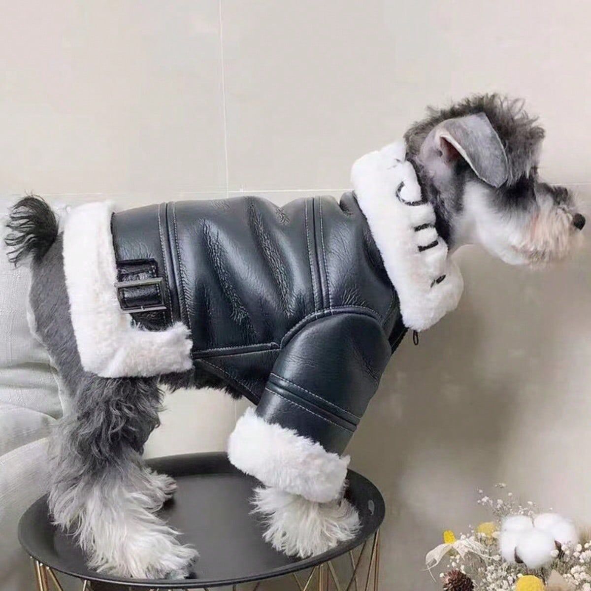 SHEIN Pet Dog Winter Clothes Thickened Pu Leather Fur Collar Motorcycle Jacket For Small Dogs Teddy, Bichon, Schnauzer, And Cats Black L,M,S,XL,XS