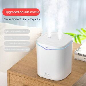 SHEIN 2l White Dual Nozzle Usb Humidifier, Large Capacity, Quiet, Suitable For Bedroom, Office And Other Space White