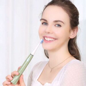 SHEIN 1pc 4 Modes Electric Toothbrush With Smart Timer Green one-size