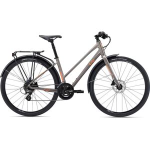 Liv Alight - Women Citybike - 2024 - Metal