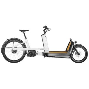 Bergamont E-Cargoville Lj Expert - Cargo E-Bike - 2023 - Bamboo