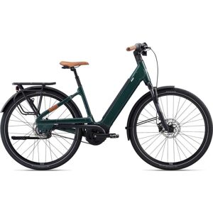 Liv Allure E+ 1 Bd Sport 500wh - Easy Entry Electric City Bike - 2023 - Trekking Green