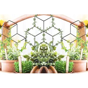 Pope Fbarrett Ltd T/A Whoop Trading Indoor/Outdoor Plant Support Trellis Pope Fbarrett Ltd T/A Whoop Trading Indoor/Outdoor Plant Support Trellis