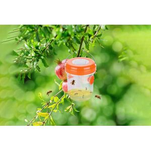 Just Dealz Outdoor Solar Power Wasp Traps Just Dealz Outdoor Solar Power Wasp Traps