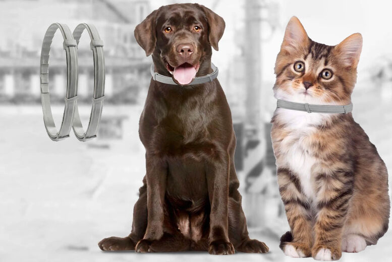 HONGLING LTD T/A Prime Supply Pet Flea Prevention Collar