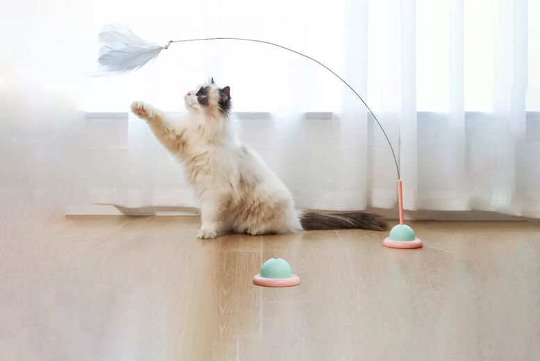 Beefy Goods Cats' Teaser Wand Toy