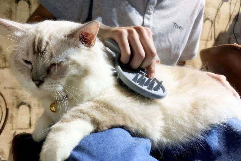 Beefy Goods Cat-Tongue Brush Groomer