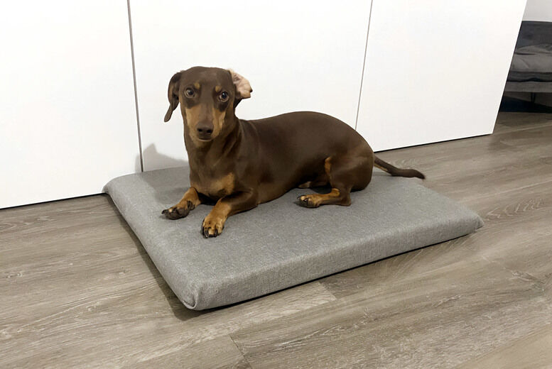 The Sleep People Ltd - Midnight Dreams Orthopaedic Memory Foam Dog Bed