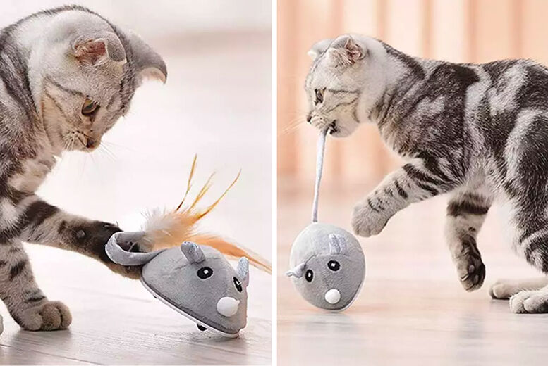 Beefy Goods Rechargeable Interactive Mouse Cat Toy
