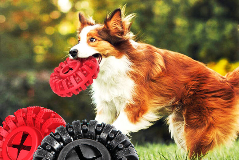 Beefy Goods Dog Toy For Aggressive Chewers