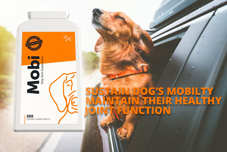 Wired Merchants Ltd Mobi Hip & Mobility Supplement for Dogs
