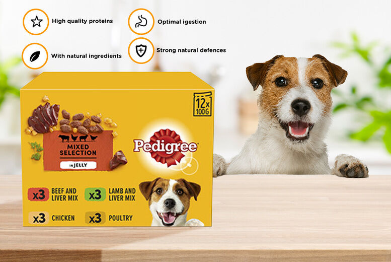 Trojan Electronics 2018 Ltd 120 Pedigree Dog Food Pouches