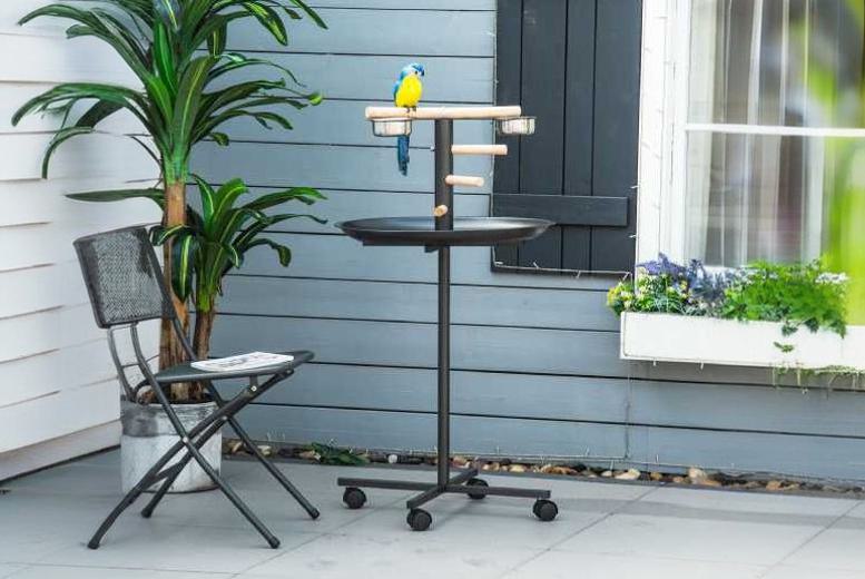 Mhstar Uk Ltd PawHut Bird Play Stand, Metal