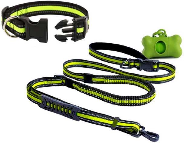 Click In Red Dog Leash and Collar refectant pack