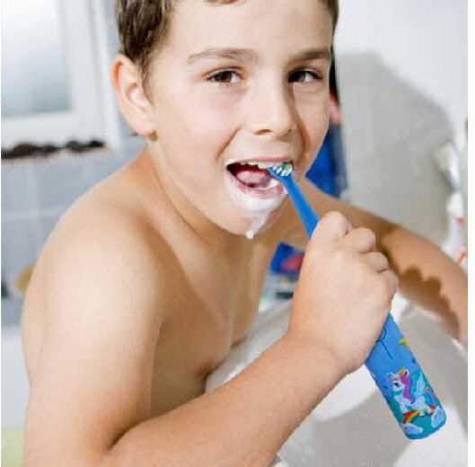 Magexic Rechargeable Sonic Electric Toothbrush