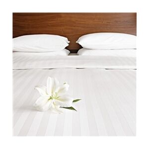 Mitre Comfort Satin Flat Sheet Oatmeal Single Mitre Comfort Satin Flat Sheet Oatmeal Single