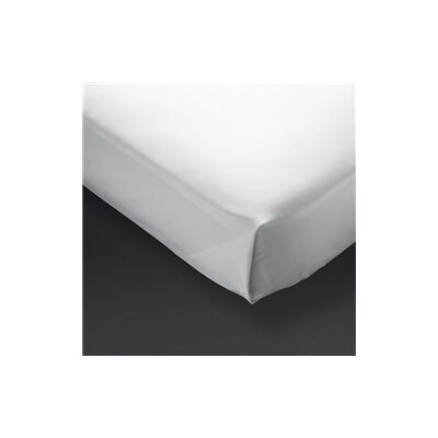 Mitre Comfort Cairo Flat Sheet Single Mitre Comfort Cairo Flat Sheet Single