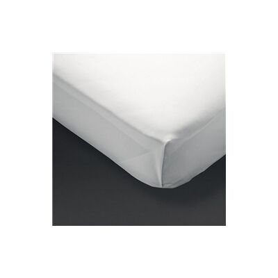 Mitre Essentials Spectrum Flat Sheet White Double Mitre Essentials Spectrum Flat Sheet White Double