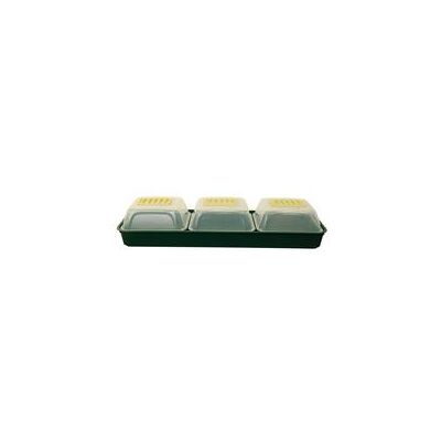 Whitefurze Windowsill Propagator Set Green/Clear G2666SET Whitefurze Windowsill Propagator Set Green/Clear G2666SET