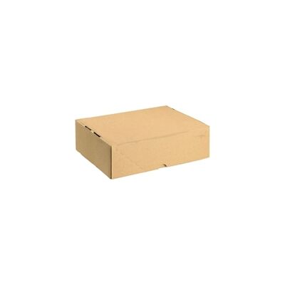 Unbranded Carton With Lid 305x215x100mm Brown (10 Pack) Unbranded Carton With Lid 305x215x100mm Brown (10 Pack)